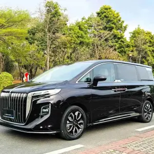 Hongqi Hongqi HQ9 2023 252 л.с. 252 л.с. из Китая