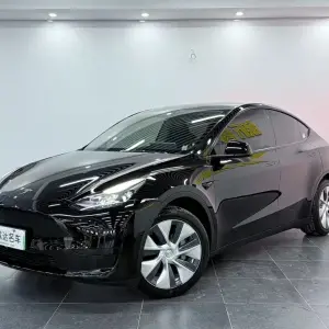 Tesla Model Y 2023 лот 57760195 из Китая