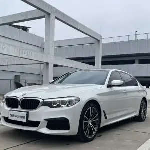 BMW 5 Series 2019 252 л.с. из Китая