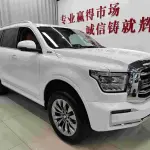Tank Tank 500 New Energy 2023 из Китая