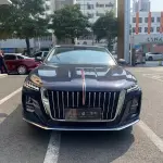 Hongqi Hongqi H5 2023 224 л.с. — лот 57784915 из Китая