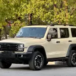 Tank Tank 300 New Energy 2025 из Китая