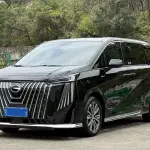 GAC Motor Trumpchi M8 2025 252 л.с. 252 л.с. 252 л.с. 252 л.с. из Китая