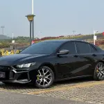 GAC Motor Shadow Leopard 2023 из Китая