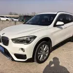 BMW X1 2019 из Китая