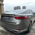 Geely Borui 2021 из Китая