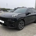 Lynk & Co 09 EM-P 2025 из Китая