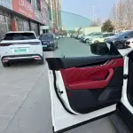 Maserati Levante 2020 350 л.с. — лот 57792826 из Китая