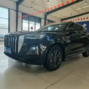Hongqi Hongqi HS5 2023 252 л.с. — лот 57795994 из Китая