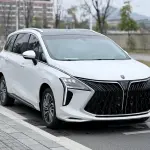 Fengxing Fengxing Yacht 2023 из Китая