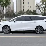 Fengxing Fengxing Yacht 2023 из Китая