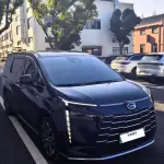GAC Motor E8 Hybrid 2024 из Китая