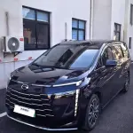 GAC Motor E8 Hybrid 2024 из Китая