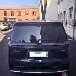 GAC Motor E8 Hybrid 2024 из Китая