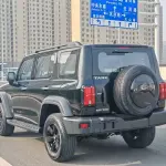 Tank Tank 300 2023 из Китая
