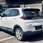 Dayun Yuehu 2023 из Китая