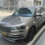 Skoda Karoq 2019 из Китая