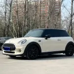 MINI Mini 2020 из Китая