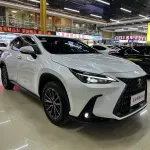 Lexus NX 2023 240 л.с. — лот 57810796 из Китая