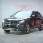 Volkswagen Tayron 2019 из Китая