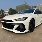 GAC Motor Shadow Leopard 2024 265 л.с. из Китая