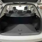 Volkswagen Tayron 2021 из Китая