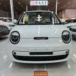 Qiyuan Lumin 2026 из Китая