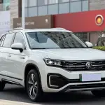 Volkswagen GTE PHEV 2022 из Китая