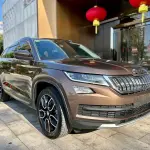 Skoda Kodiaq 2018 из Китая