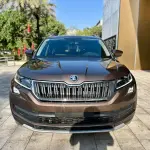 Skoda Kodiaq 2018 из Китая