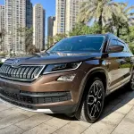 Skoda Kodiaq 2018 из Китая