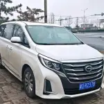 GAC Motor Trumpchi M8 2020 из Китая