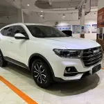 Haval H6 2022 150 л.с. 150 л.с. 150 л.с. 150 л.с. из Китая