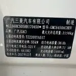 GAC Group GAC NE PHEV 2018 из Китая