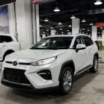 Toyota Wildlander 2021 из Китая