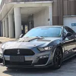 Ford Mustang 2018 314 л.с. 314 л.с. из Китая