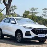 Oshan Oushang X5 2020 из Китая