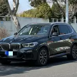BMW X5 (Import) 2020 из Китая