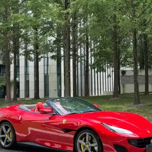 Ferrari Portofino 2019 из Китая