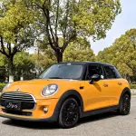 MINI Mini 2018 из Китая