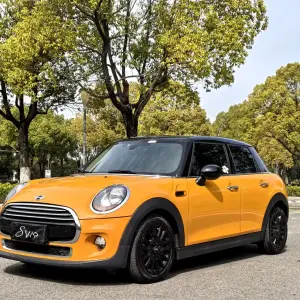 MINI Mini 2018 из Китая
