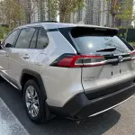 Toyota Wildlander 2020 из Китая