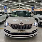 Skoda Karoq 2022 из Китая