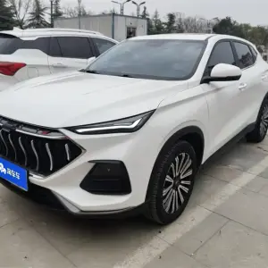Oshan Oushang X5 2022 из Китая