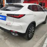 Oshan Oushang X5 2022 из Китая