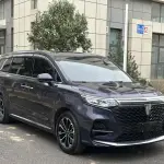 Roewe iMAX8 2022 из Китая