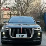 Hongqi Hongqi H9 2021 из Китая