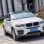 BMW X6 2011 из Китая
