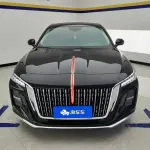 Hongqi Hongqi H5 2024 из Китая