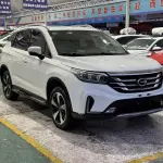 GAC Motor Trumpchi GS4 2019 из Китая